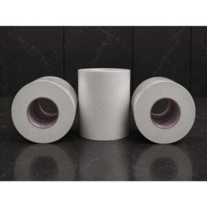 Toilet Roll 100 Gm