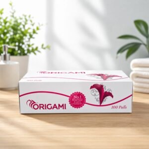 Tissue Box (Origami)